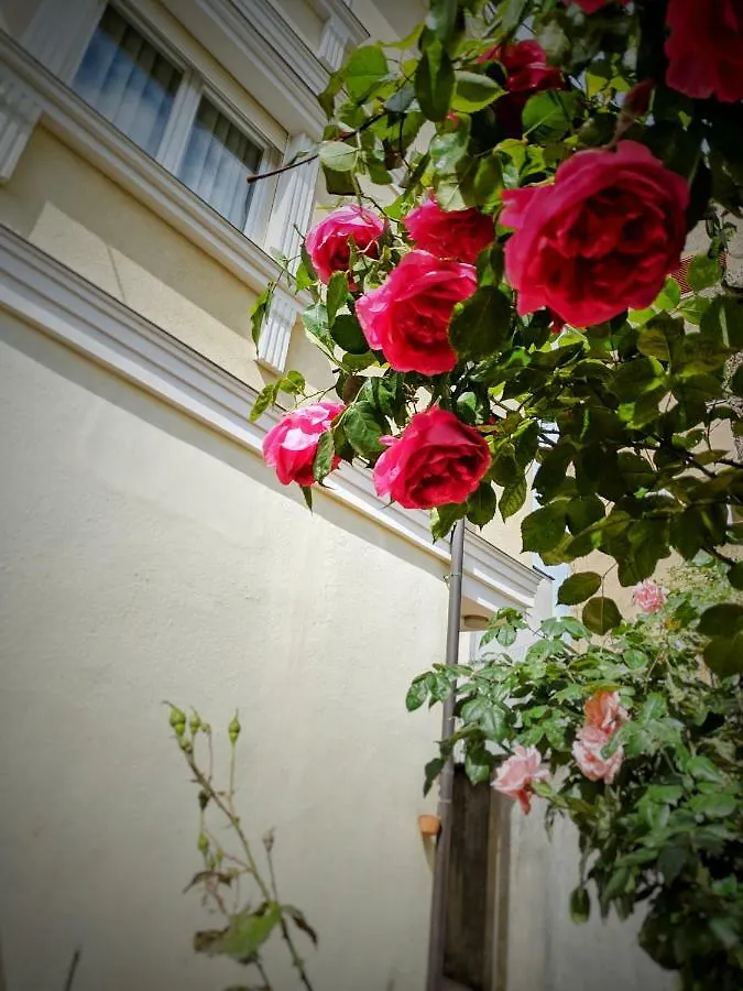All Seasons Apartments - Free Parking & City Center Shkodër